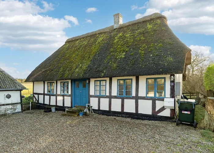 Pet Friendly In With Wifi